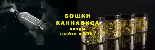 ПСИЛОЦИБИНОВЫЕ ГРИБЫ Арсеньев