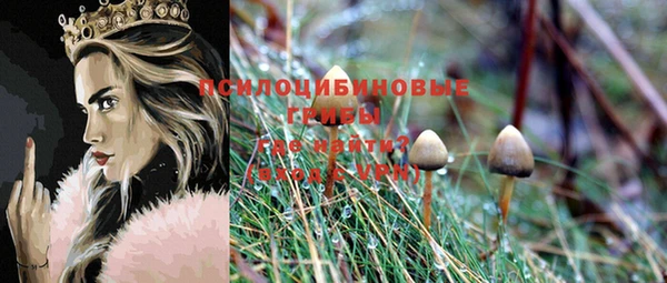 прущие крисы Аркадак