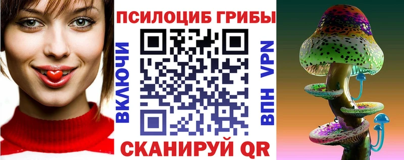 Псилоцибиновые грибы Cubensis  Кизляр 